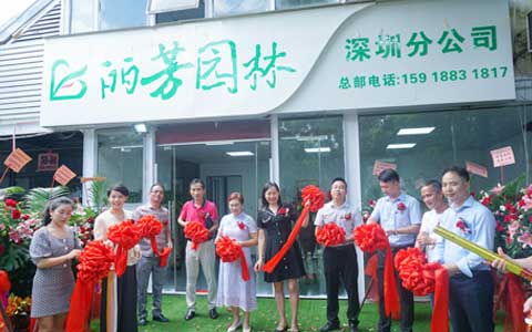 必发7790深圳分公司正式开业