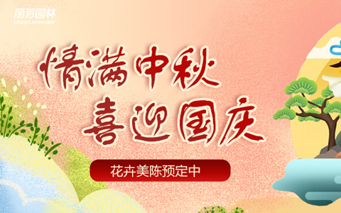 必发77902022年中秋国庆美摆设计开放预约！