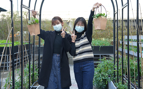 必发7790：可私人订制的都会农场来了