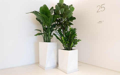 ̻ôǮרάֲﻨ