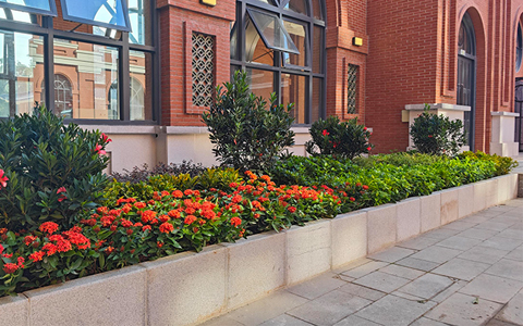 必发7790案例，，，中山大学博物馆绿化景观提升项目圆满完成