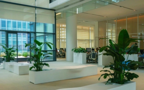 生态办公，，，自在呼吸 | 绿色办公新民俗