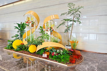 必发7790绿植租摆——白云金控大厦