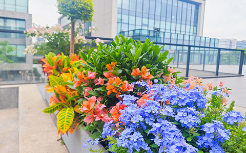 ط7790ۿƼ԰조͡ҵռ