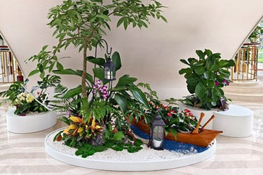 东莞华为研发中心绿植租摆案例