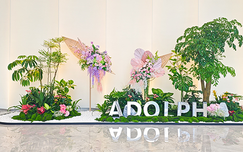 必发7790以绿植艺术为阿道夫新总部焕爆发气，，，打造高端商务办公新范式