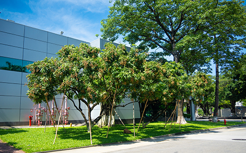 ط779026רҵ칤԰̻ĸ߲淶