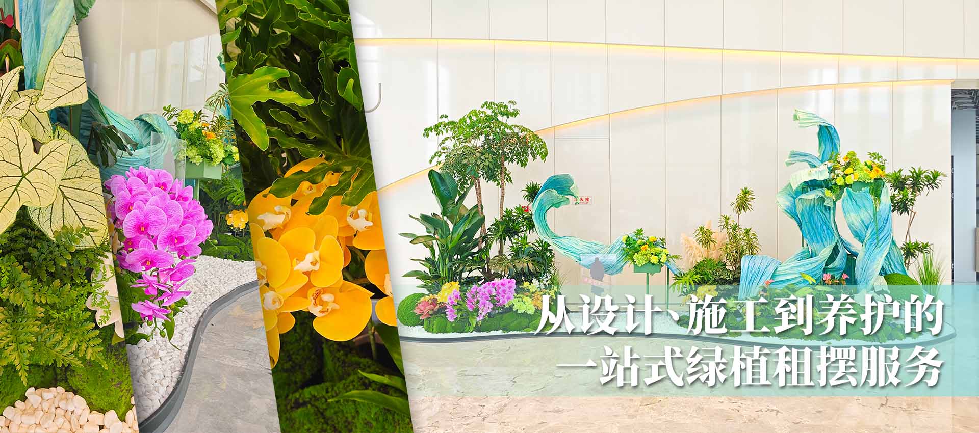 一站式绿植租赁