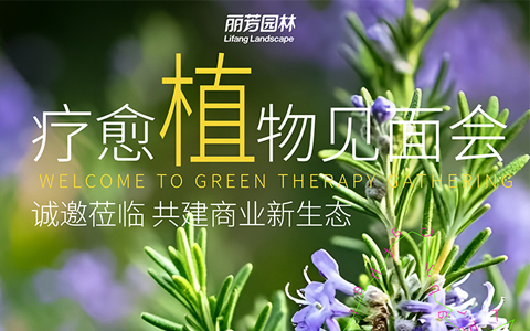 չԤ | ﲩԼط7790ҵ̬